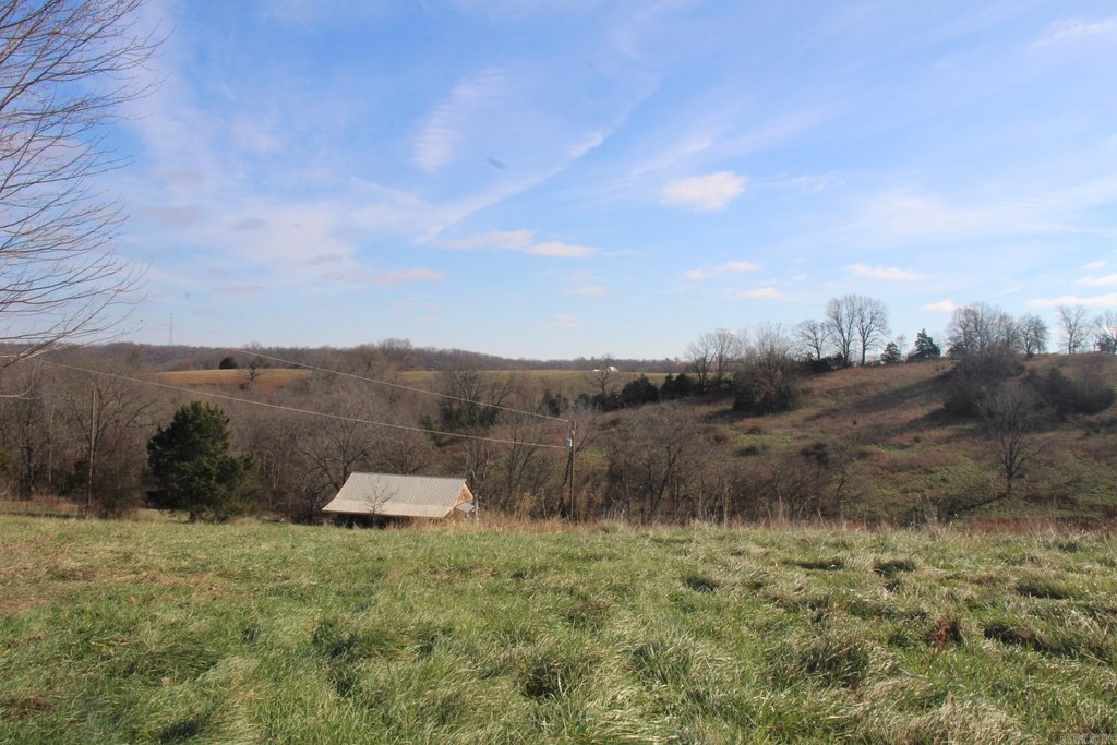 Picture 12