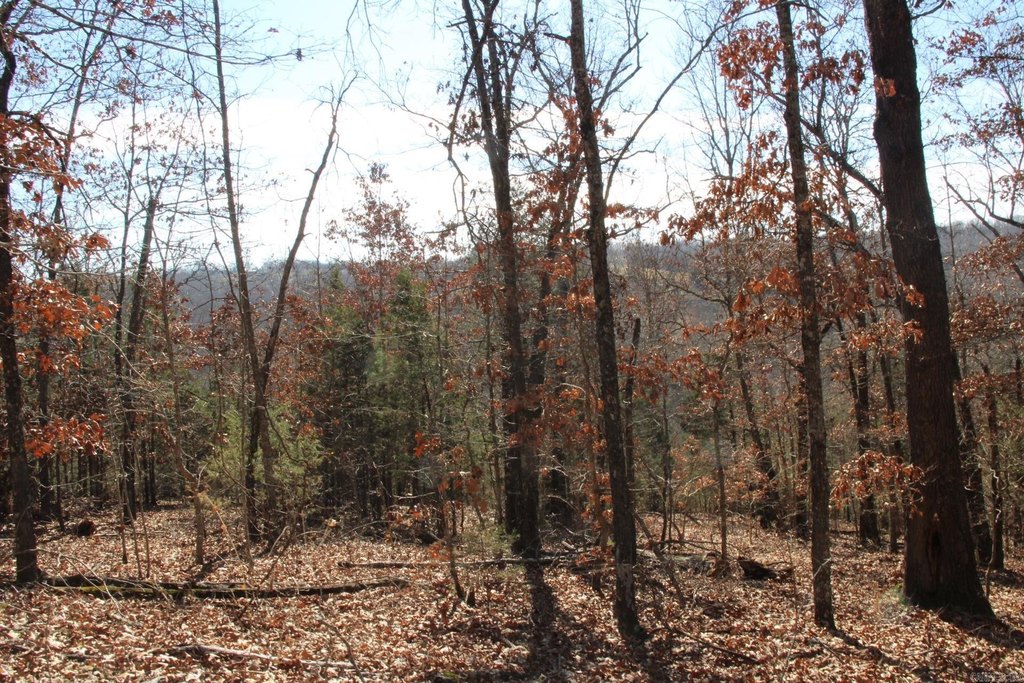 Picture 37