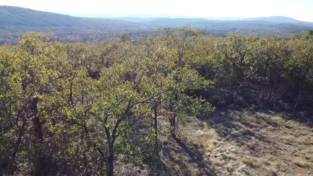 74.9 Acres Bordering National Forest