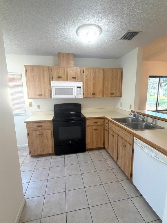 Picture 38