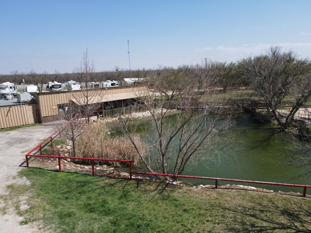 Picture 12