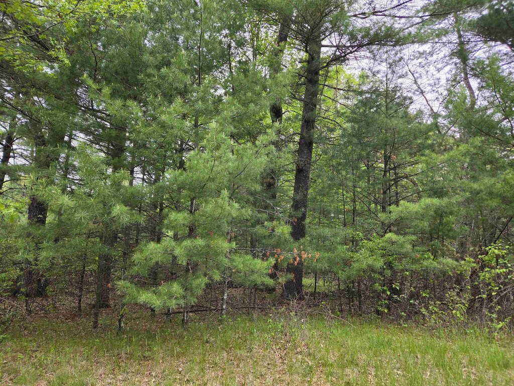 Picture 3