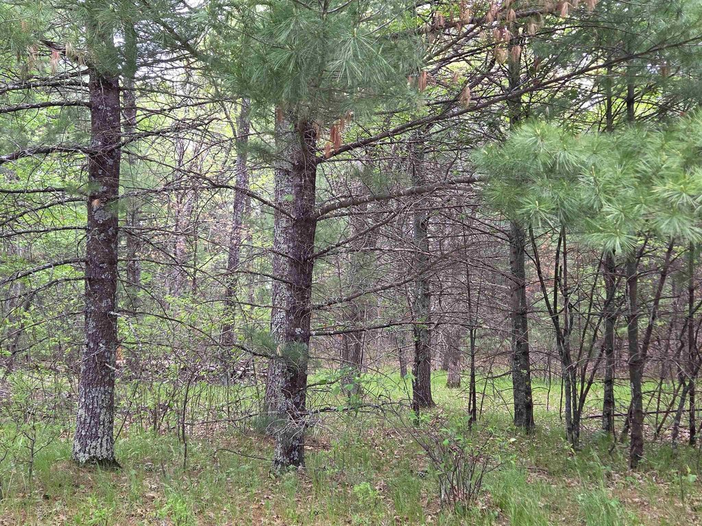 Picture 8