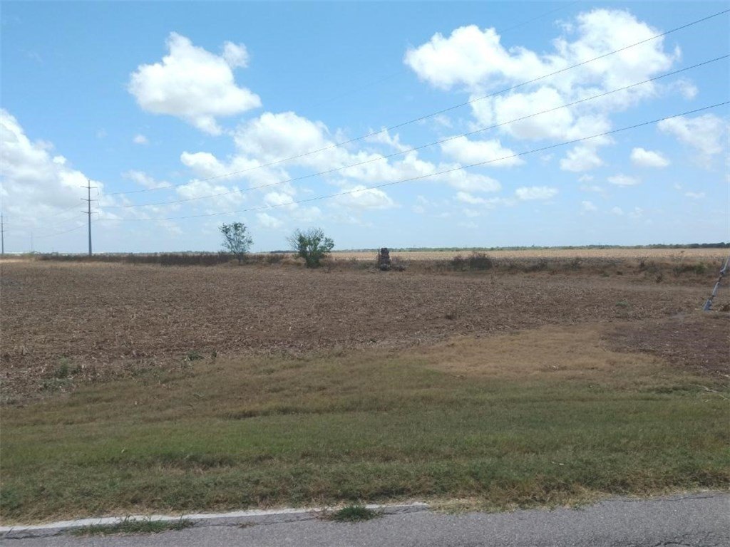 Picture 4