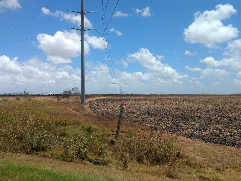Picture 9
