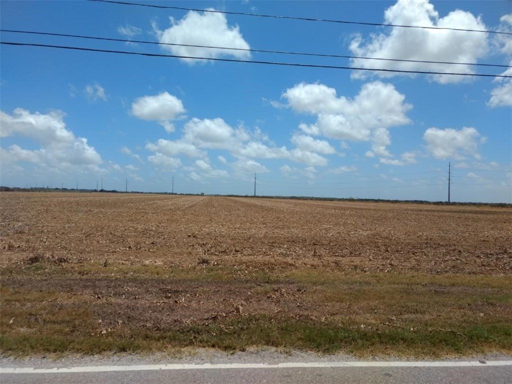 Picture 2