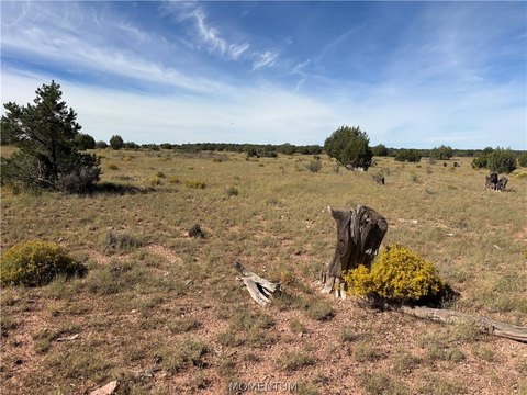 Land, Seligman, AZ
