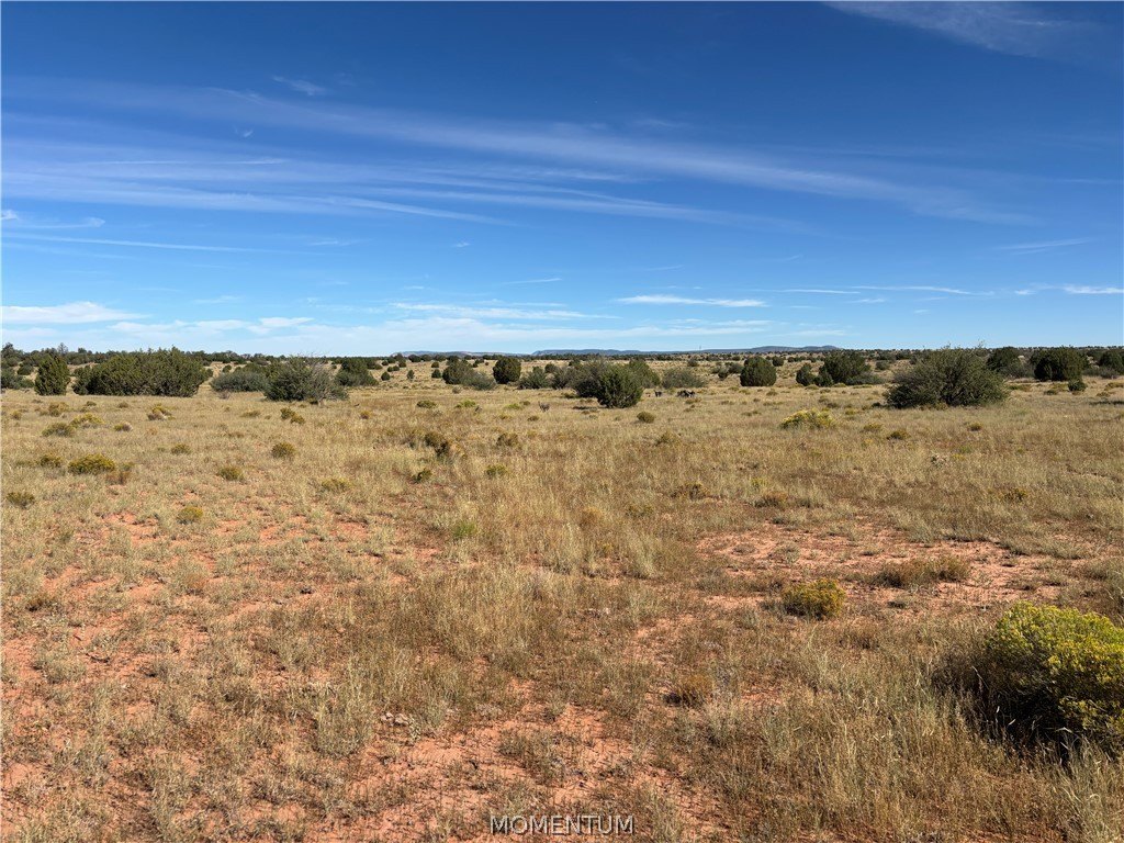 Picture 28