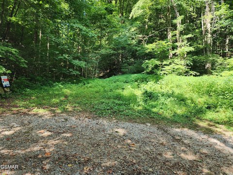 Wooded Land Near Foothills Parkway