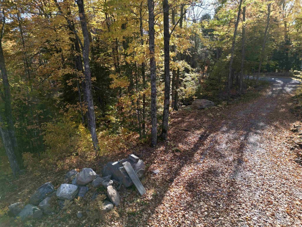 Picture 21