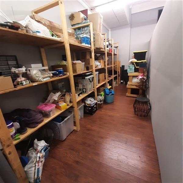 Picture 21