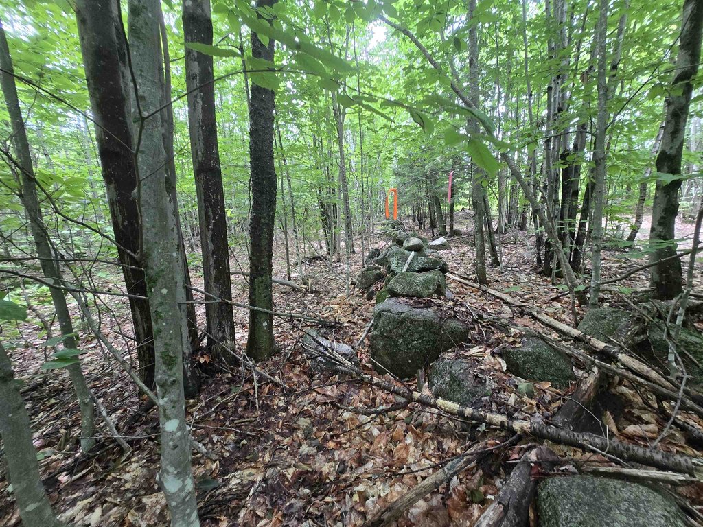 Picture 18