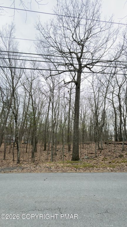 Picture 3