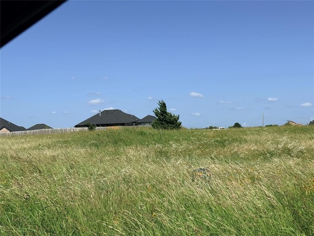 Picture 25