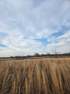 Land for Dream Home
