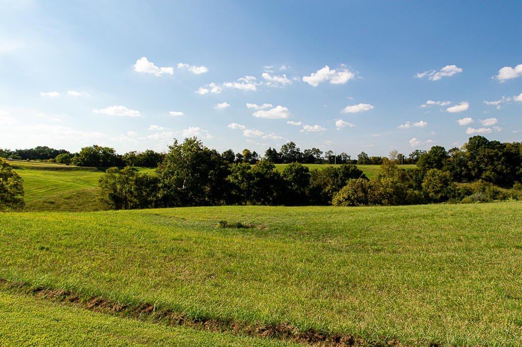 Picture 25