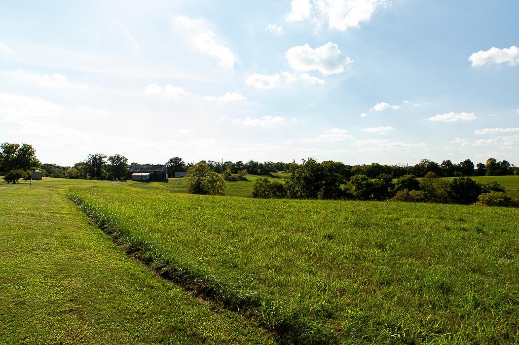 Picture 30