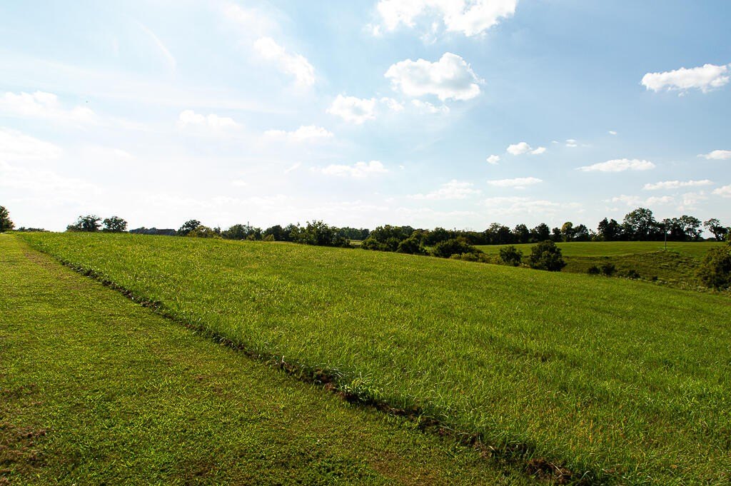 Picture 33