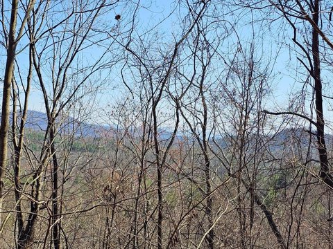 LAND - Murphy, NC