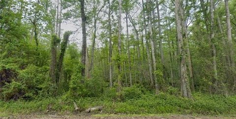 Ponchatoula Vacant Land Opportunity