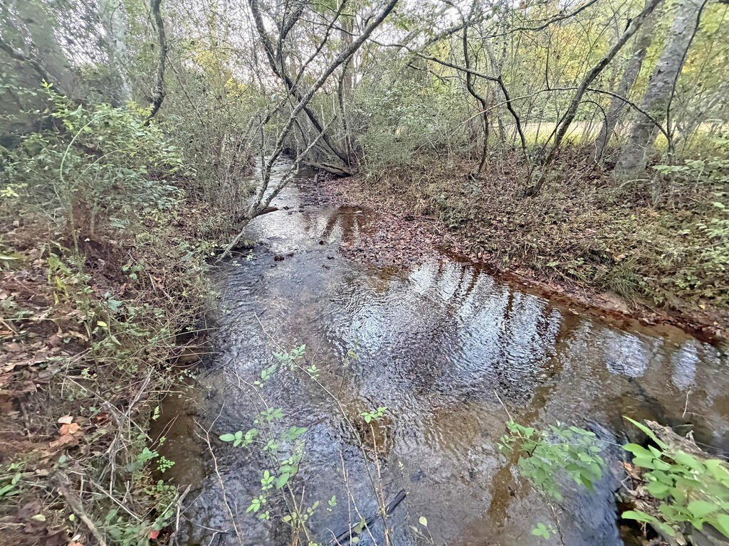 Picture 28