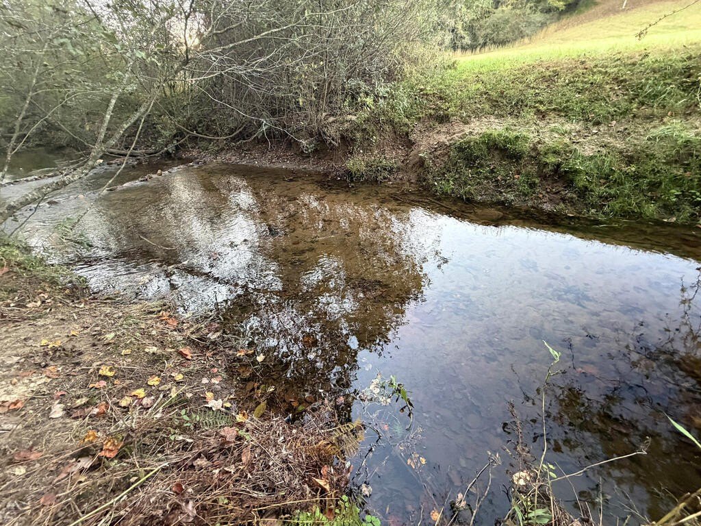 Picture 39