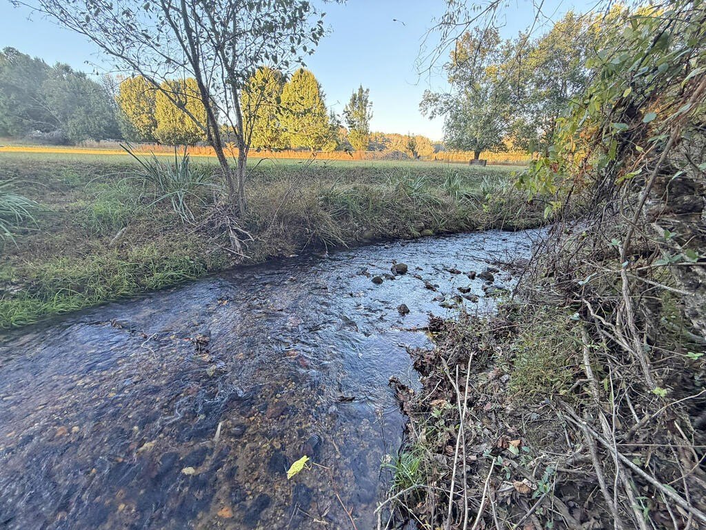 Picture 22