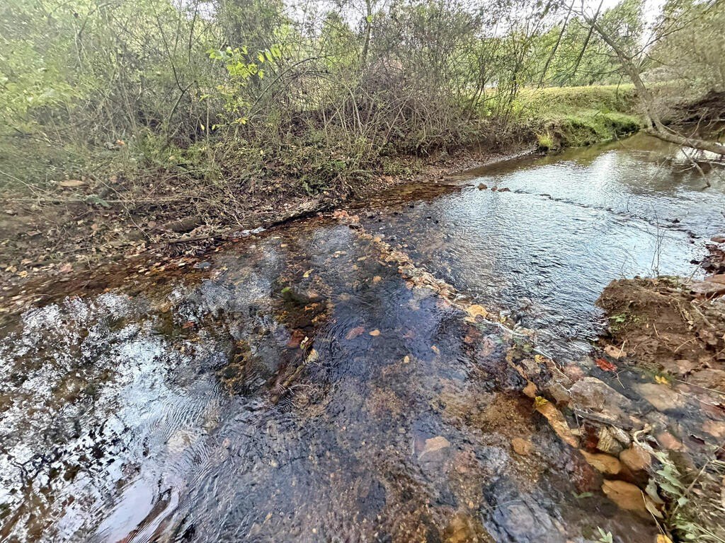 Picture 33