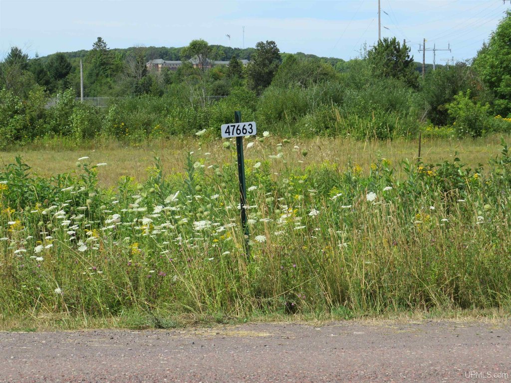 Picture 24