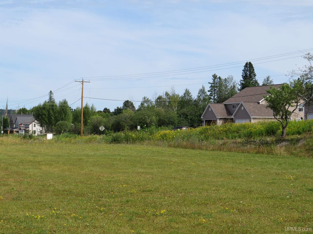 Picture 8