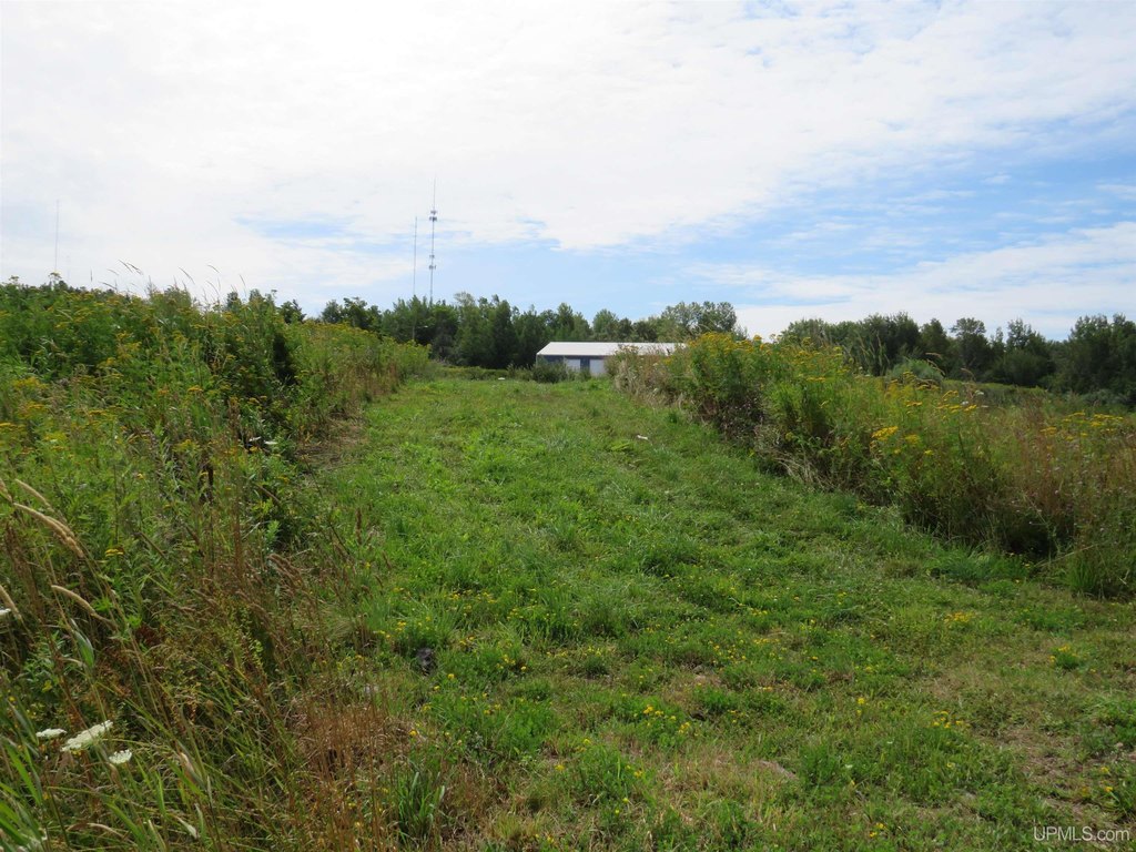 Picture 22