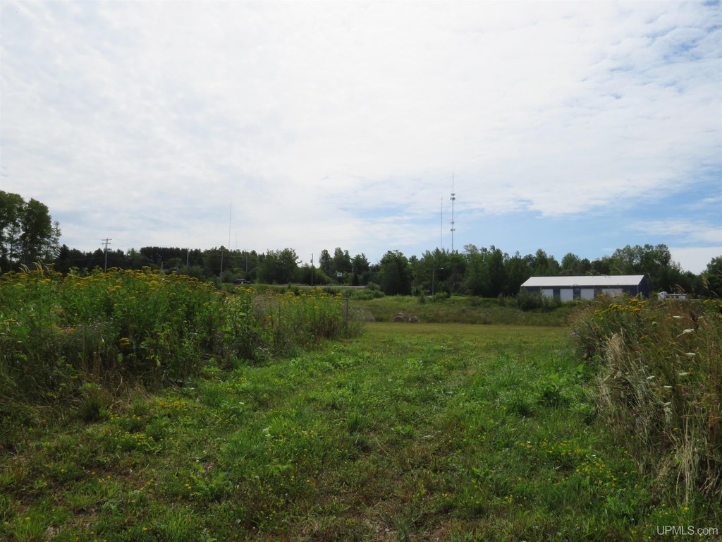 Picture 23