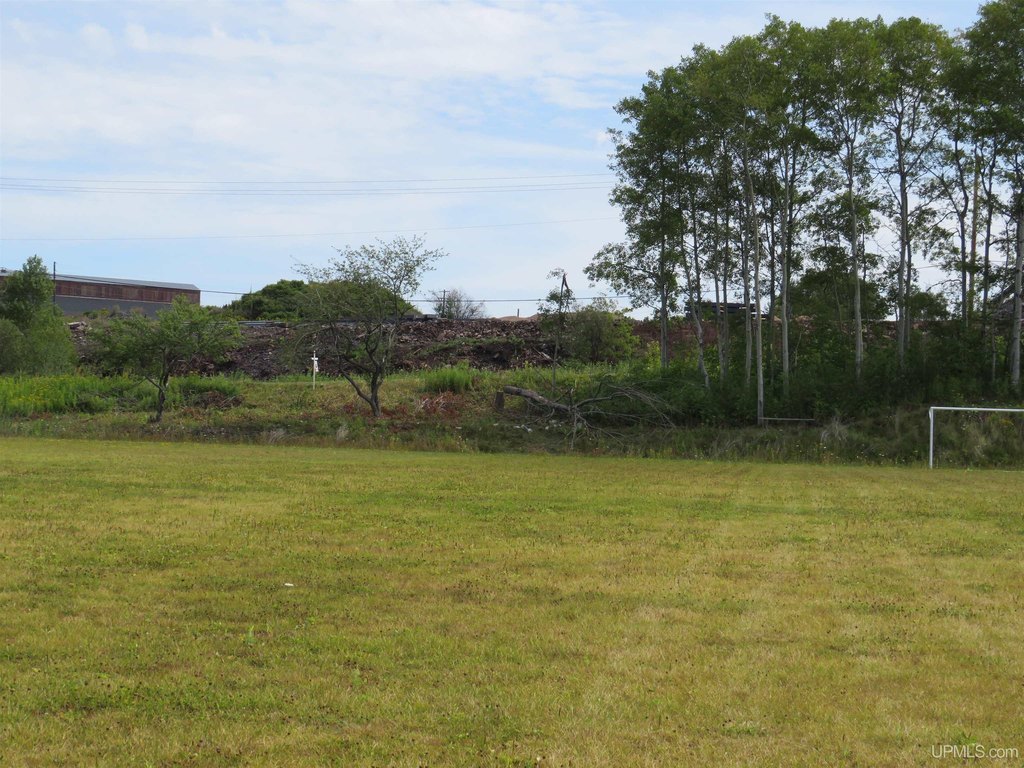 Picture 21