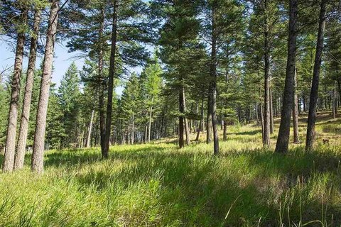 LAND - Kalispell, MT