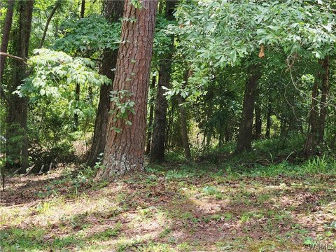 LAND - Tuscaloosa, AL
