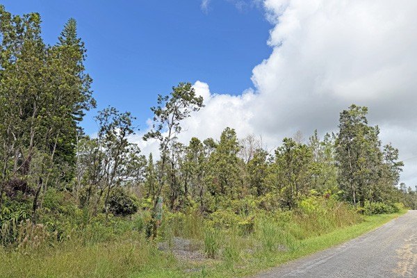 Picture 8