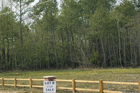 Livingston, LA One-Acre Lot