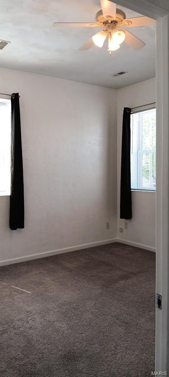 Picture 27