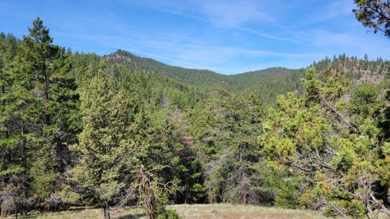 Secluded Land with Cabin, Views