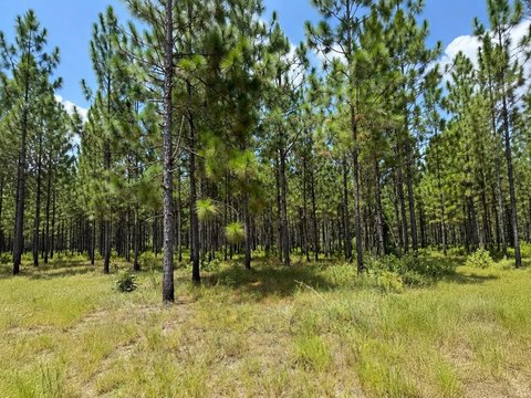 Land, Lumberton, MS