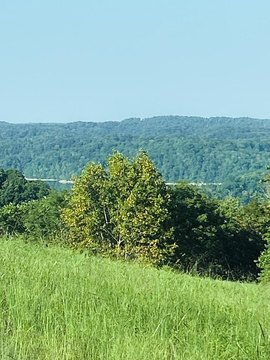 Land, Hilham, TN
