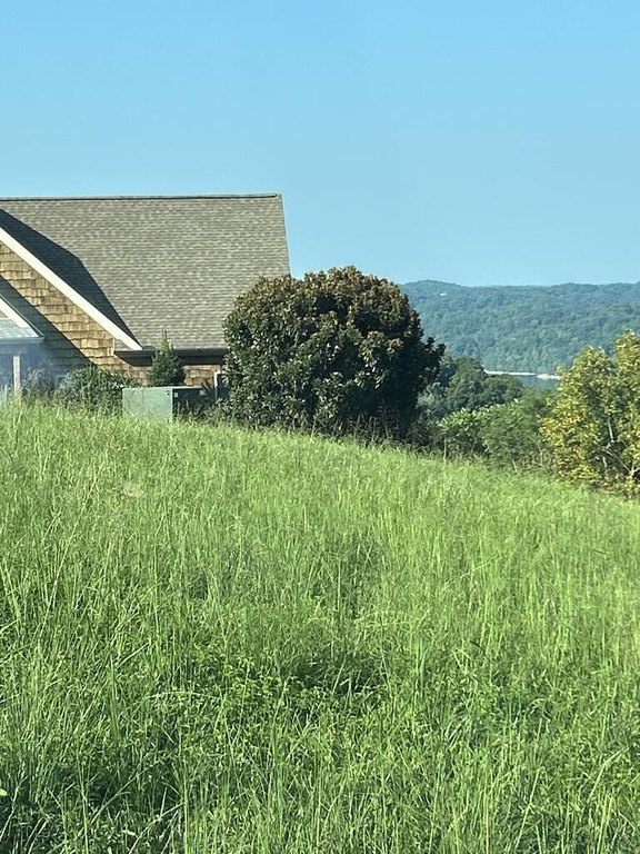 Picture 22