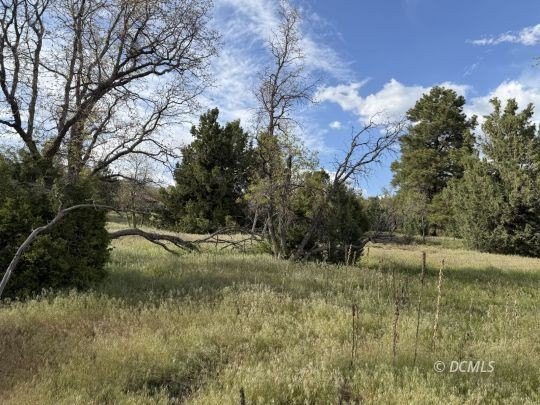 Residential Lot in Duck Creek