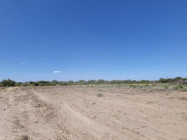 Picture 5