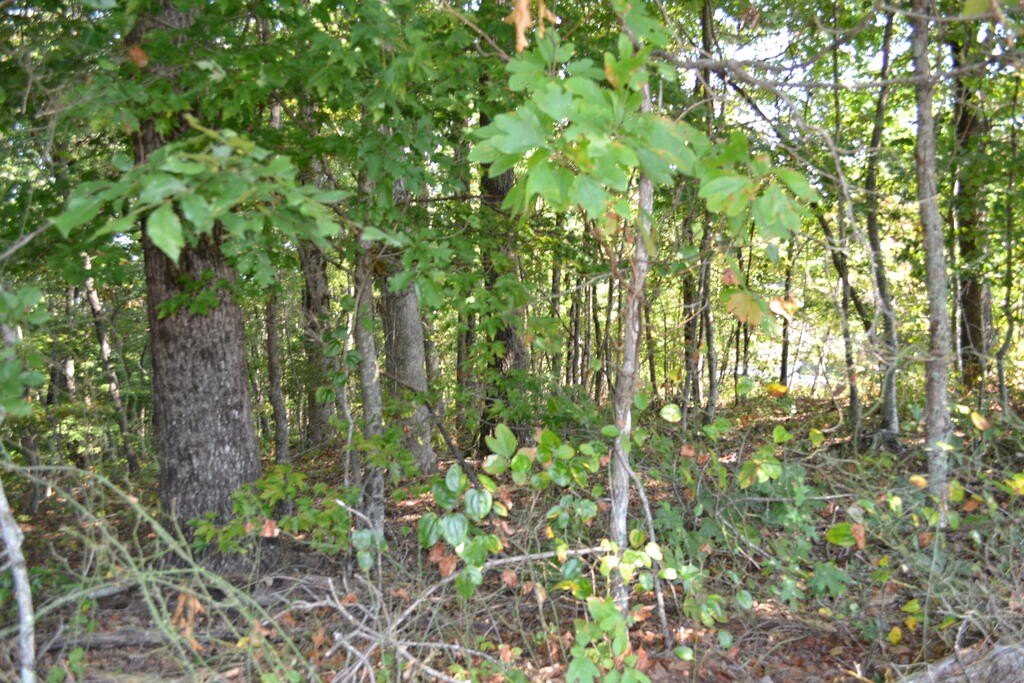 Picture 16