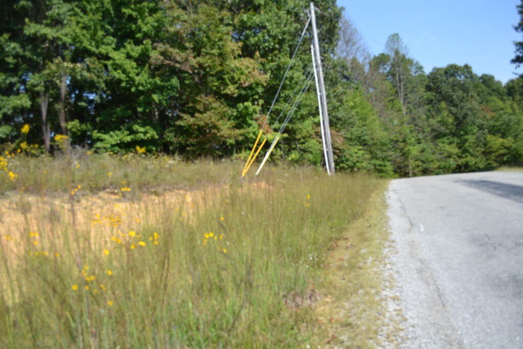 Picture 19
