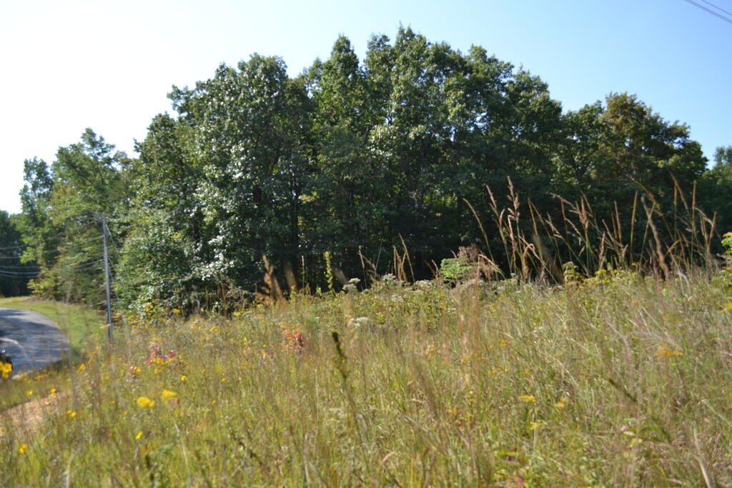 Picture 8