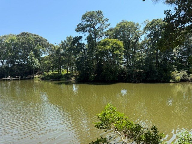 Picture 8