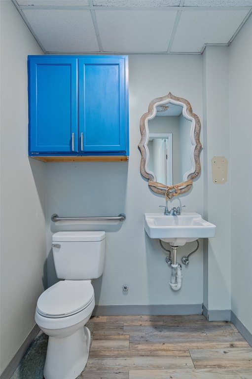 Picture 13
