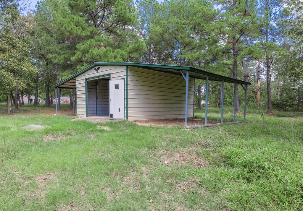 Picture 19